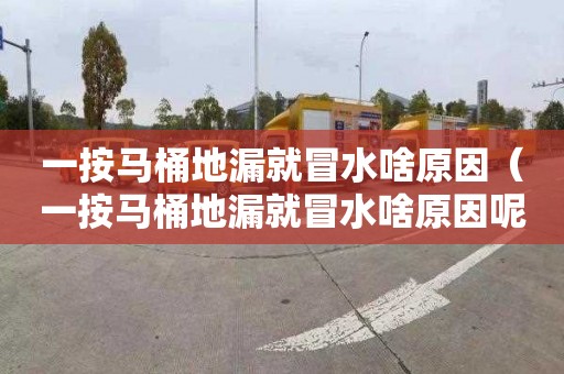 一按马桶地漏就冒水啥原因（一按马桶地漏就冒水啥原因呢）