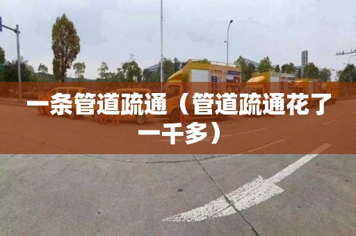 一条管道疏通（管道疏通花了一千多）