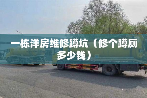 一栋洋房维修蹲坑（修个蹲厕多少钱）