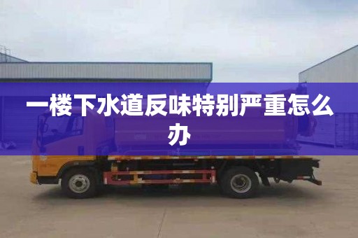 一楼下水道反味特别严重怎么办