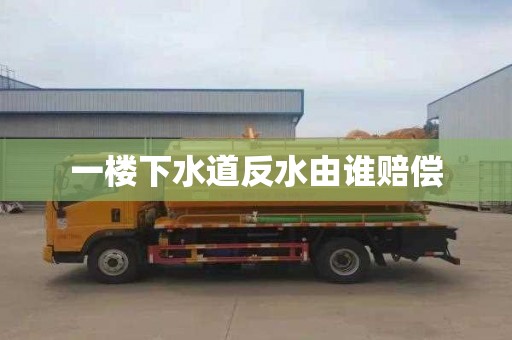 一楼下水道反水由谁赔偿
