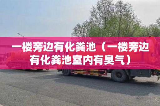 一楼旁边有化粪池（一楼旁边有化粪池室内有臭气）