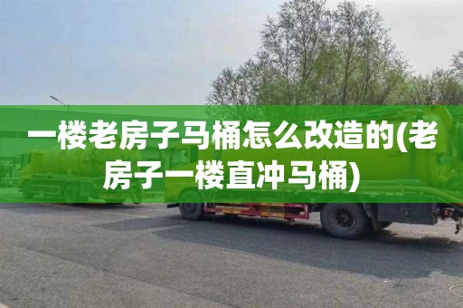 一楼老房子马桶怎么改造的(老房子一楼直冲马桶)