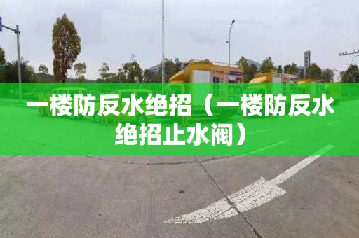 一楼防反水绝招（一楼防反水绝招止水阀）