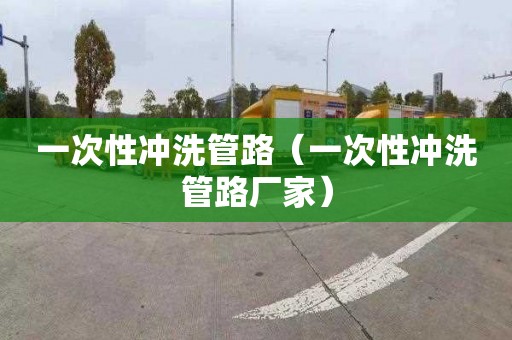 一次性冲洗管路（一次性冲洗管路厂家）