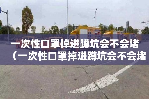 一次性口罩掉进蹲坑会不会堵（一次性口罩掉进蹲坑会不会堵住）