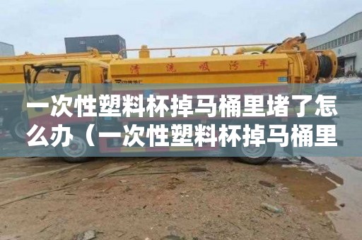 一次性塑料杯掉马桶里堵了怎么办（一次性塑料杯掉马桶里堵了怎么办啊）