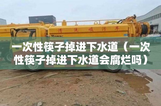 一次性筷子掉进下水道（一次性筷子掉进下水道会腐烂吗）