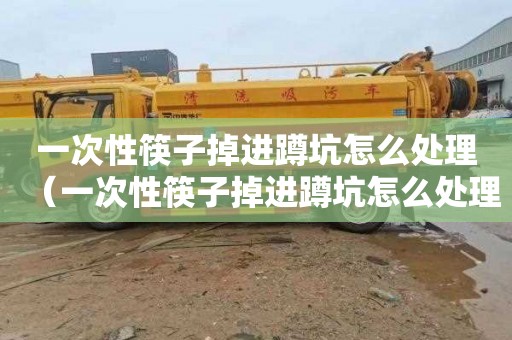 一次性筷子掉进蹲坑怎么处理（一次性筷子掉进蹲坑怎么处理好）