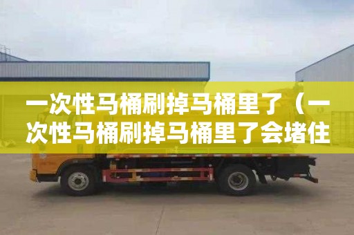 一次性马桶刷掉马桶里了（一次性马桶刷掉马桶里了会堵住吗）