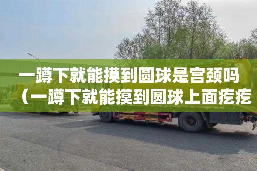 一蹲下就能摸到圆球是宫颈吗（一蹲下就能摸到圆球上面疙疙瘩瘩的）