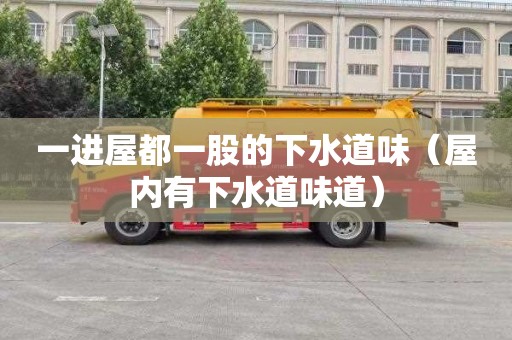 一进屋都一股的下水道味（屋内有下水道味道）