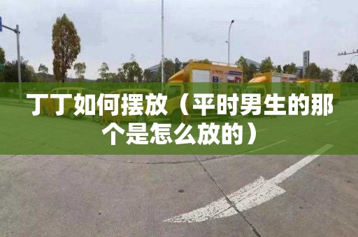 丁丁如何摆放（平时男生的那个是怎么放的）