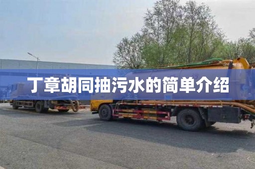 丁章胡同抽污水的简单介绍