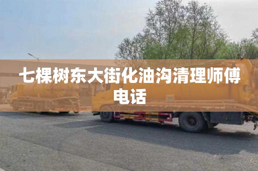 七棵树东大街化油沟清理师傅电话