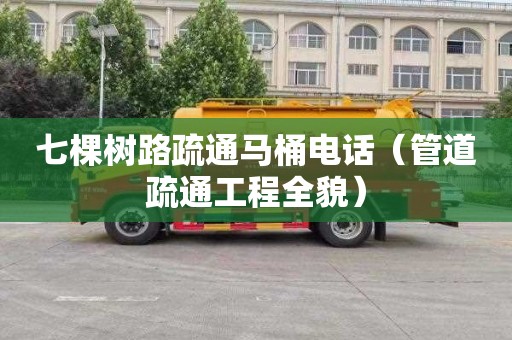 七棵树路疏通马桶电话（管道疏通工程全貌）