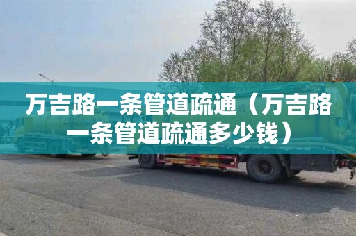 万吉路一条管道疏通（万吉路一条管道疏通多少钱）