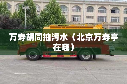 万寿胡同抽污水（北京万寿亭在哪）