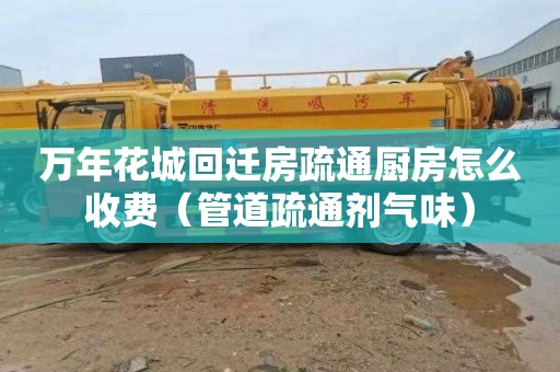 万年花城回迁房疏通厨房怎么收费（管道疏通剂气味）