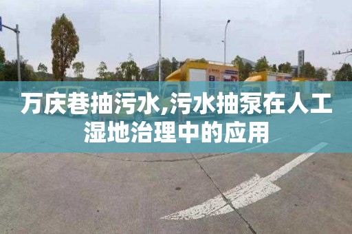 万庆巷抽污水,污水抽泵在人工湿地治理中的应用