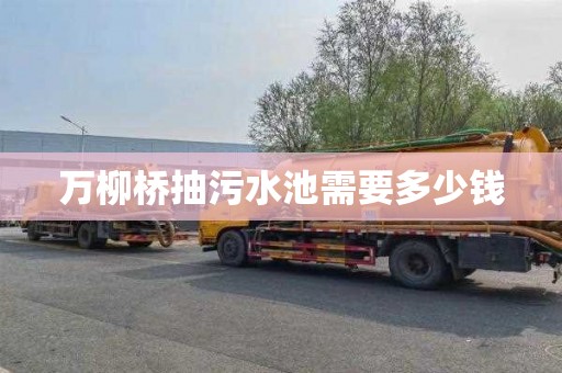 万柳桥抽污水池需要多少钱