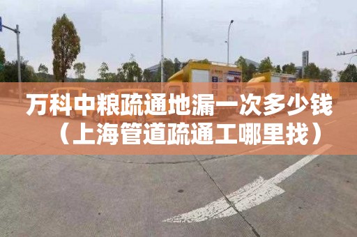 万科中粮疏通地漏一次多少钱（上海管道疏通工哪里找）