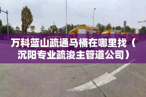 万科蓝山疏通马桶在哪里找（沉阳专业疏浚主管道公司）