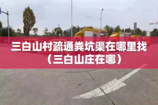 三白山村疏通粪坑渠在哪里找（三白山庄在哪）