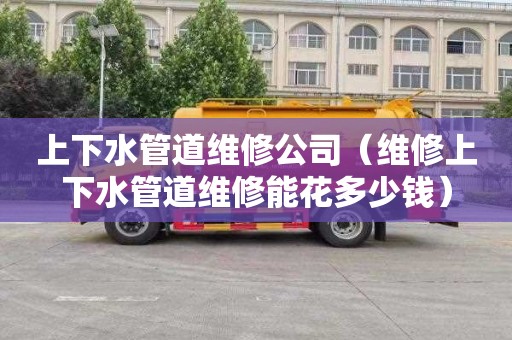 上下水管道维修公司（维修上下水管道维修能花多少钱）