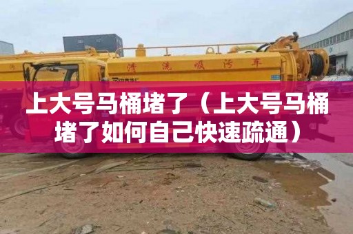 上大号马桶堵了（上大号马桶堵了如何自己快速疏通）