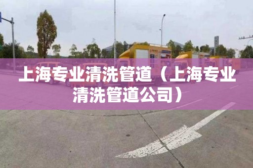 上海专业清洗管道（上海专业清洗管道公司）