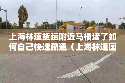 上海林道货运附近马桶堵了如何自己快速疏通（上海林道国际快递单号查询）