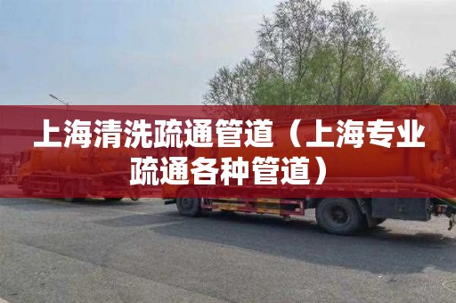 上海清洗疏通管道（上海专业疏通各种管道）