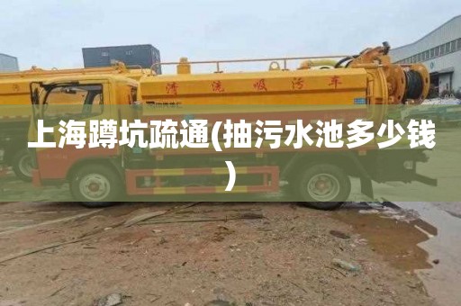 上海蹲坑疏通(抽污水池多少钱)