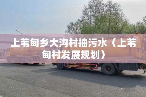 上苇甸乡大沟村抽污水（上苇甸村发展规划）
