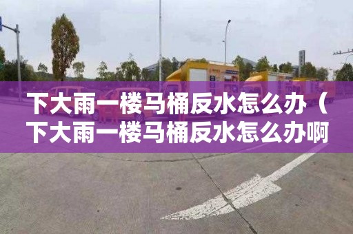 下大雨一楼马桶反水怎么办（下大雨一楼马桶反水怎么办啊）