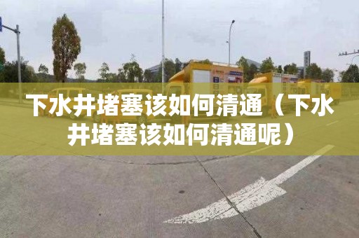 下水井堵塞该如何清通（下水井堵塞该如何清通呢）