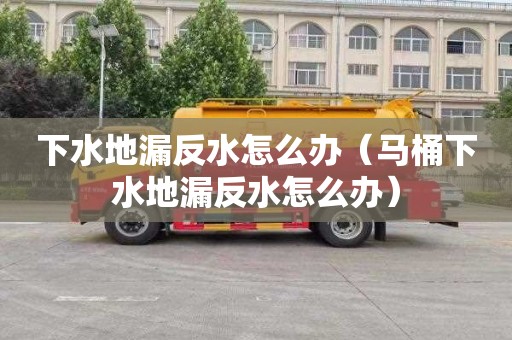 下水地漏反水怎么办（马桶下水地漏反水怎么办）