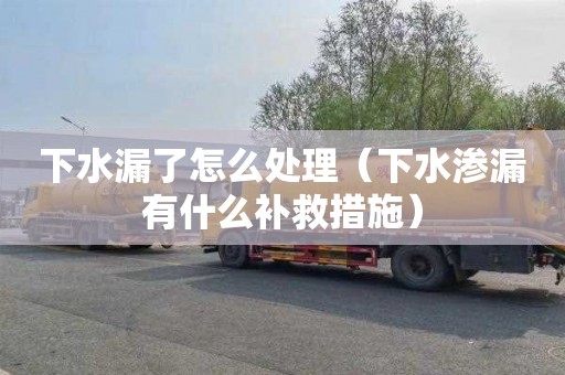 下水漏了怎么处理（下水渗漏有什么补救措施）