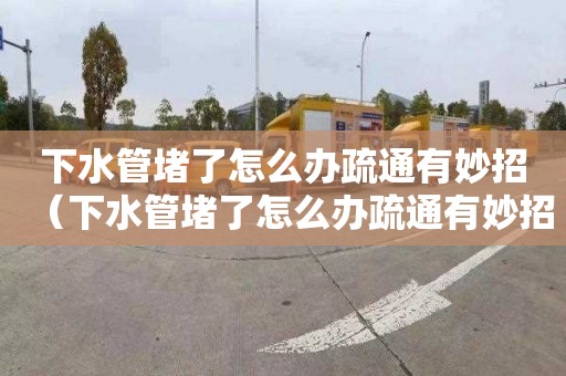 下水管堵了怎么办疏通有妙招（下水管堵了怎么办疏通有妙招吗）