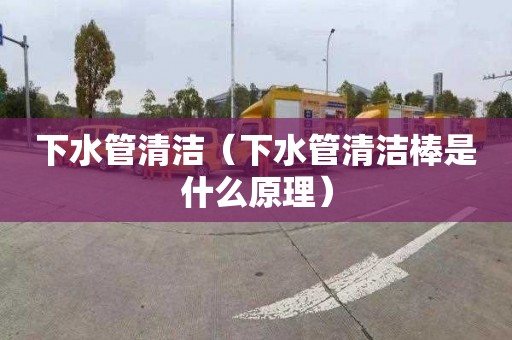 下水管清洁（下水管清洁棒是什么原理）