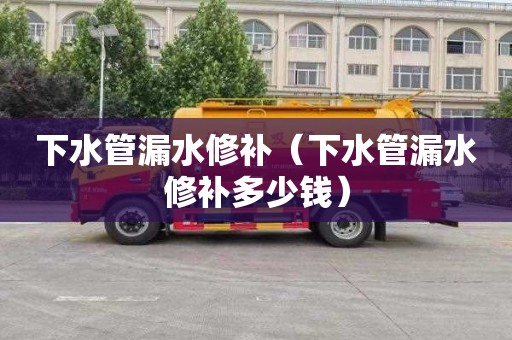 下水管漏水修补（下水管漏水修补多少钱）