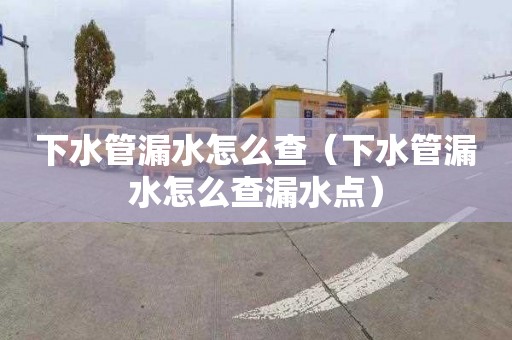 下水管漏水怎么查（下水管漏水怎么查漏水点）