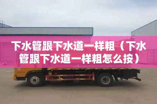 下水管跟下水道一样粗（下水管跟下水道一样粗怎么按）