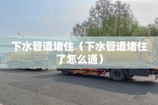 下水管道堵住（下水管道堵住了怎么通）
