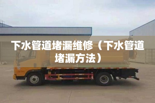 下水管道堵漏维修（下水管道堵漏方法）