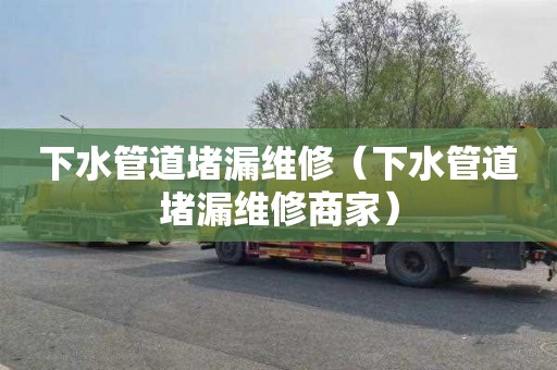 下水管道堵漏维修（下水管道堵漏维修商家）