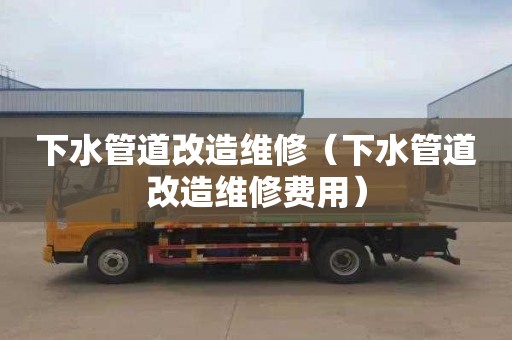 下水管道改造维修（下水管道改造维修费用）