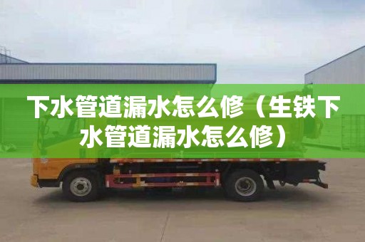 下水管道漏水怎么修（生铁下水管道漏水怎么修）