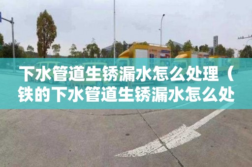 下水管道生锈漏水怎么处理（铁的下水管道生锈漏水怎么处理）